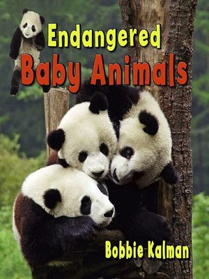 cover image of Endangered Baby Animals